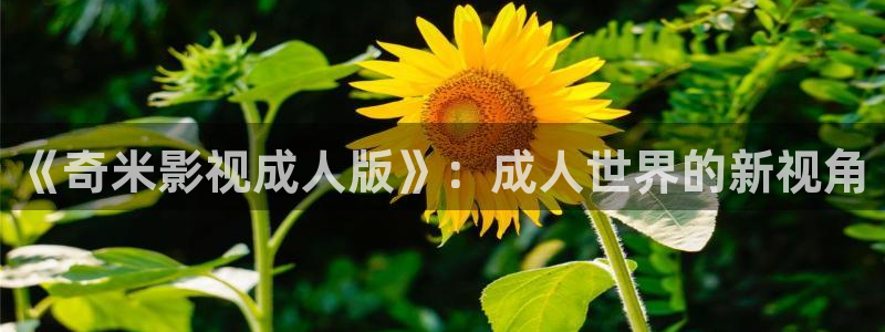 天狼电影院在线：《奇米影视成人版》：成人世界的新视角