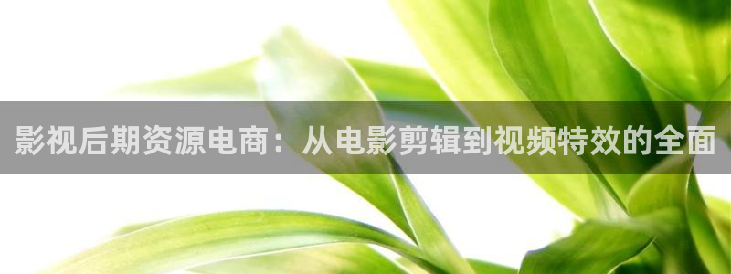 天狼影院最新电影：影视后期资源电商：从电影剪辑到视频特效的全面
