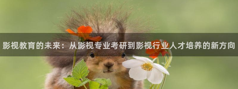 天狼免费影院：影视教育的未来：从影视专业考研到影视行业人才培养的新方向