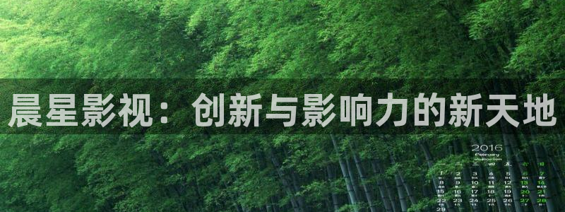 天狼影院妈妈的朋友：晨星影视：创新与影响力的新天地