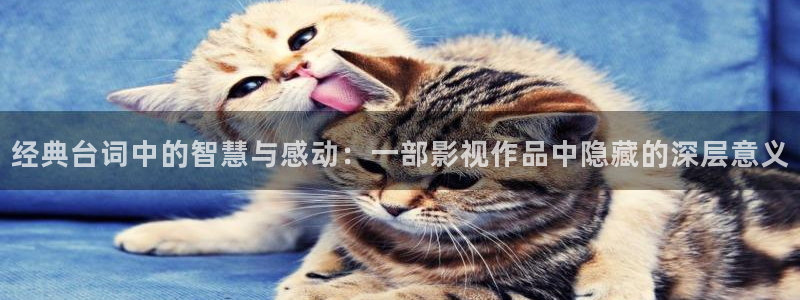 天狼电影院电影在线免费看完整版：经典台词中的智慧与感动：一部影视作品中隐藏的深层意义