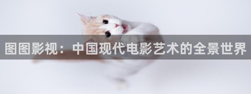 天狼影院电视剧2023：图图影视：中国现代电影艺术的全景世界