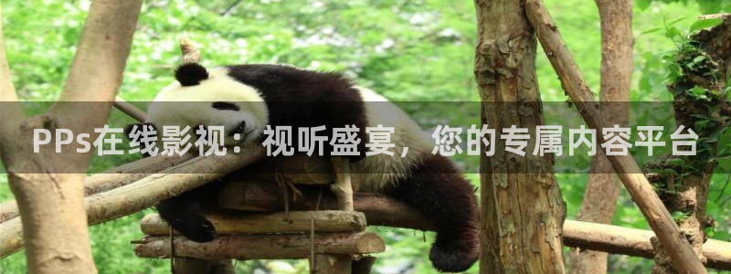 天狼影视剧免费观看全集：PPs在线影视：视听盛宴，您的专属内容平台