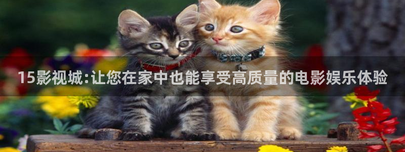 天狼影院2025最新：15影视城:让您在家中也能享受高质量的电影娱乐体验